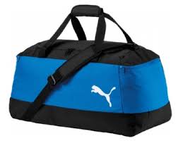 Image result for Bridgford netball club