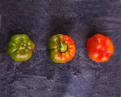 Afbeeldingsresultaat voor yolo wonder sweet pepper