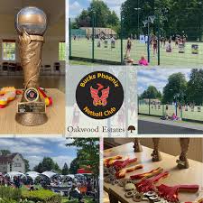 Image result for Molineux Netball Club