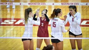 Image result for Pyle Octopush Club