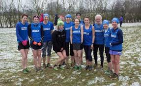 Image result for Abergele Harriers