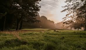 Image result for Long Ashton Bowls Club