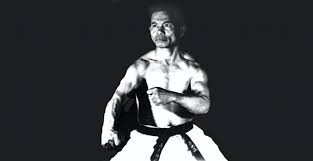 Image result for Uechi-Ryu Karate Do, Hedge End