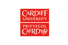 Image result for Cardiff Cobras