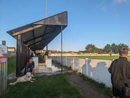 Image result for Torpoint Athletic Football Club