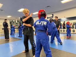 Image result for Elite Martial Arts Academy