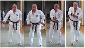 Image result for Yoseikan Budo England