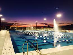 Image result for Elmbridge Phoenix Swimming Club