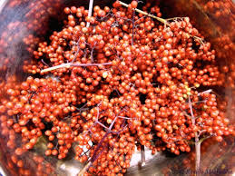 Attēlu rezultāti vaicājumam “Sambucus racemosa fruit”