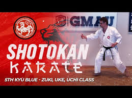 Image result for Junsui Shotokan Karate Do