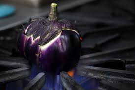 Afbeeldingsresultaat voor melanzana prosperosa eggplant