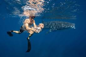 Image result for SwimSwansea