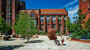 Image result for Newcastle University