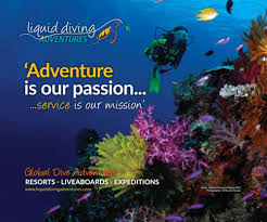 Image result for Darwen Snorkelling Club