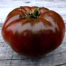 Afbeeldingsresultaat voor 1884 purple tomato