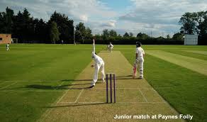 Image result for Morpeth Junior Cricket Club