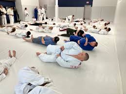 Image result for Mushin Kempo Jiu Jitsu Club
