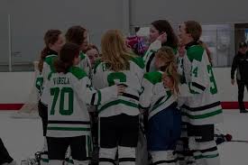 Image result for Streatham Youth Ice Hockey Club