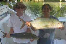 Image result for Caranx bartholomaei