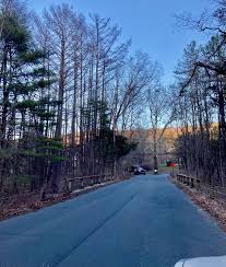 Image result for Sycamore Ttc