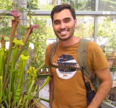 Attēlu rezultāti vaicājumam “Cribrariaceae”