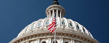 Attēlu rezultāti vaicājumam “Jalla dumosa imago”