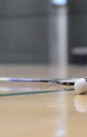 Image result for Lincolnshire Badminton Club