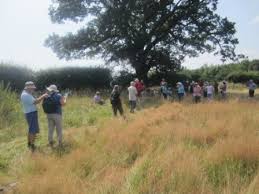 Image result for Tring Rambling Club
