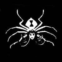 Image result for lolth symbol