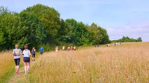Image result for Bearbrook Joggers, Aylesbury