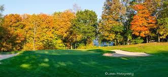 Image result for Brookside Badminton Club