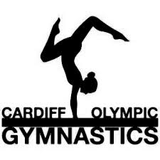 Image result for Cardiff Olympic Gymnastics Club