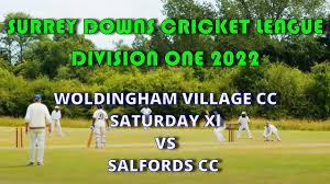 Image result for Salfords Cricket Club