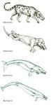 KGS--A Kansan's Guide to Science--Nature of Science, Evolution