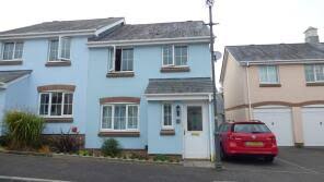 Image result for Newton Abbott Knights