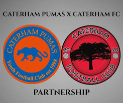 Image result for Caterham Pumas Fc