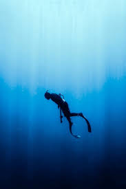 Image result for Deep Blue Diving
