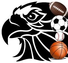 Image result for Falcon Sa Club