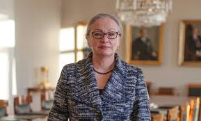 Image result for pauliine koskelo