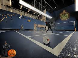 Image result for The Drakes Badminton Club