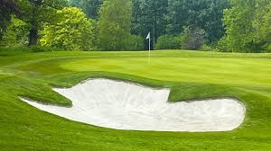 Image result for Verulam Golf Club Ltd