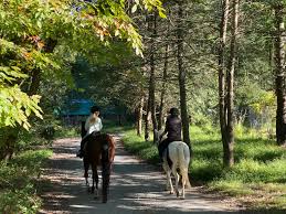 Image result for Huntingdon and District Riding Club