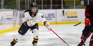 Image result for Cardiff Comets Ladies Ice Hockey