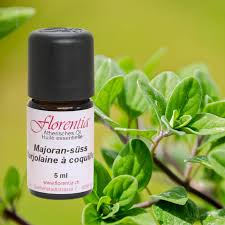 Image result for Majoran