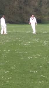 Image result for Bay Dragons CC