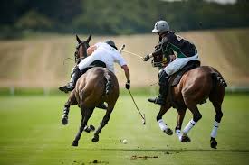 Image result for Cambridge and Newmarket Polo Club