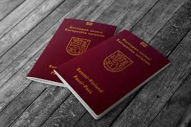 Image result for паспорт