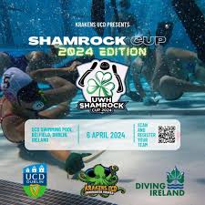 Image result for Dublin Underwater Hockey Team