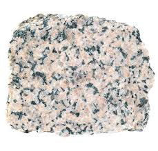 Image result for seotonie