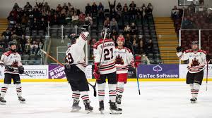 Image result for Streatham Youth Ice Hockey Club